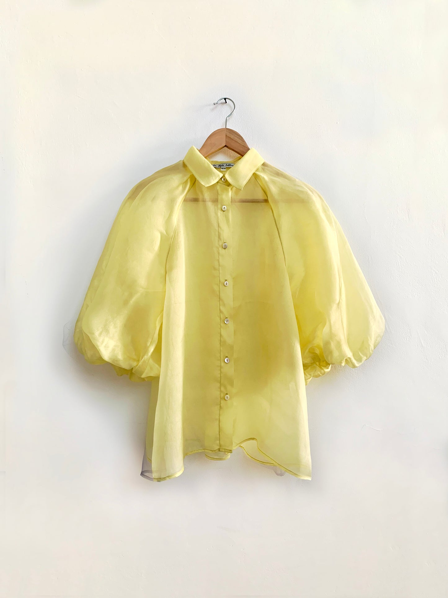 Organza puff sleeve blouse