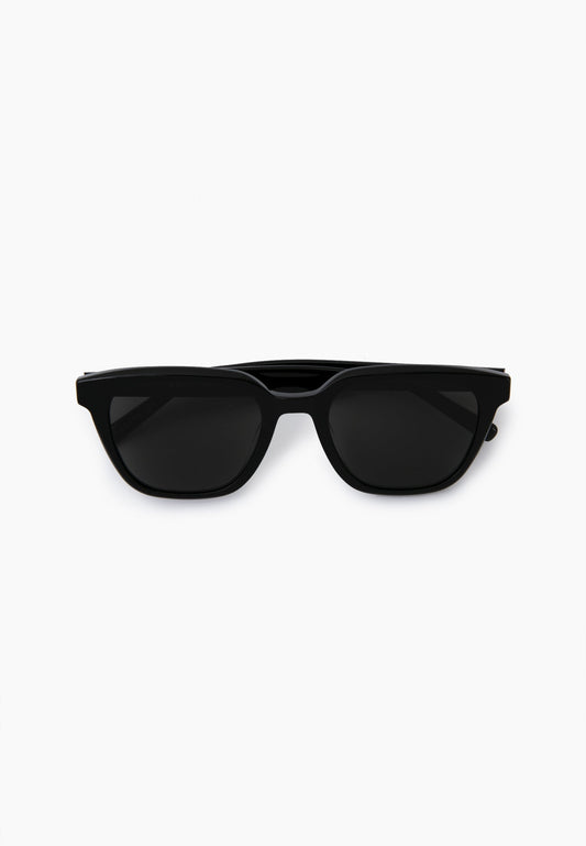 Classic Black Wayfarer Sunglasses