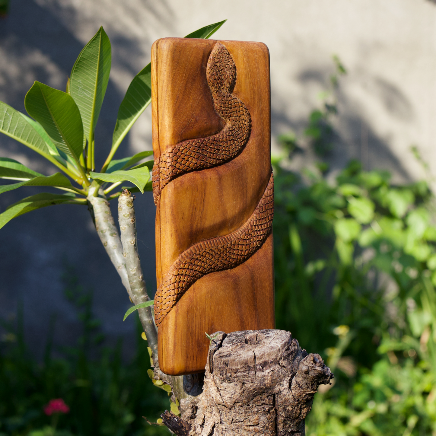 Sadhu Board with an Image of a Snake