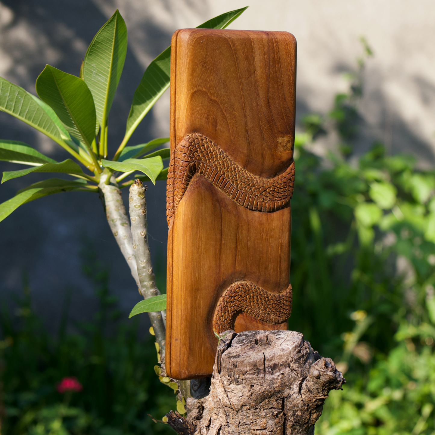 Sadhu Board with an Image of a Snake