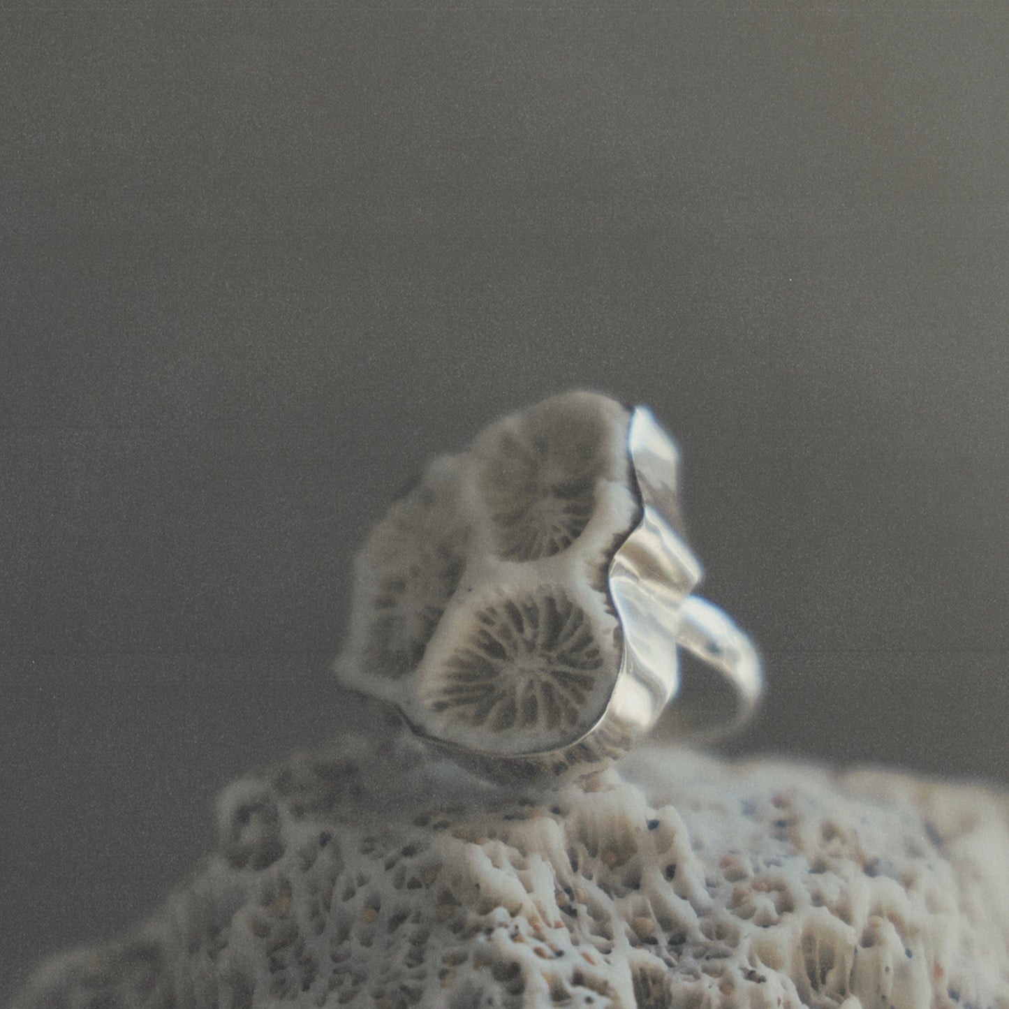 Corals Comb