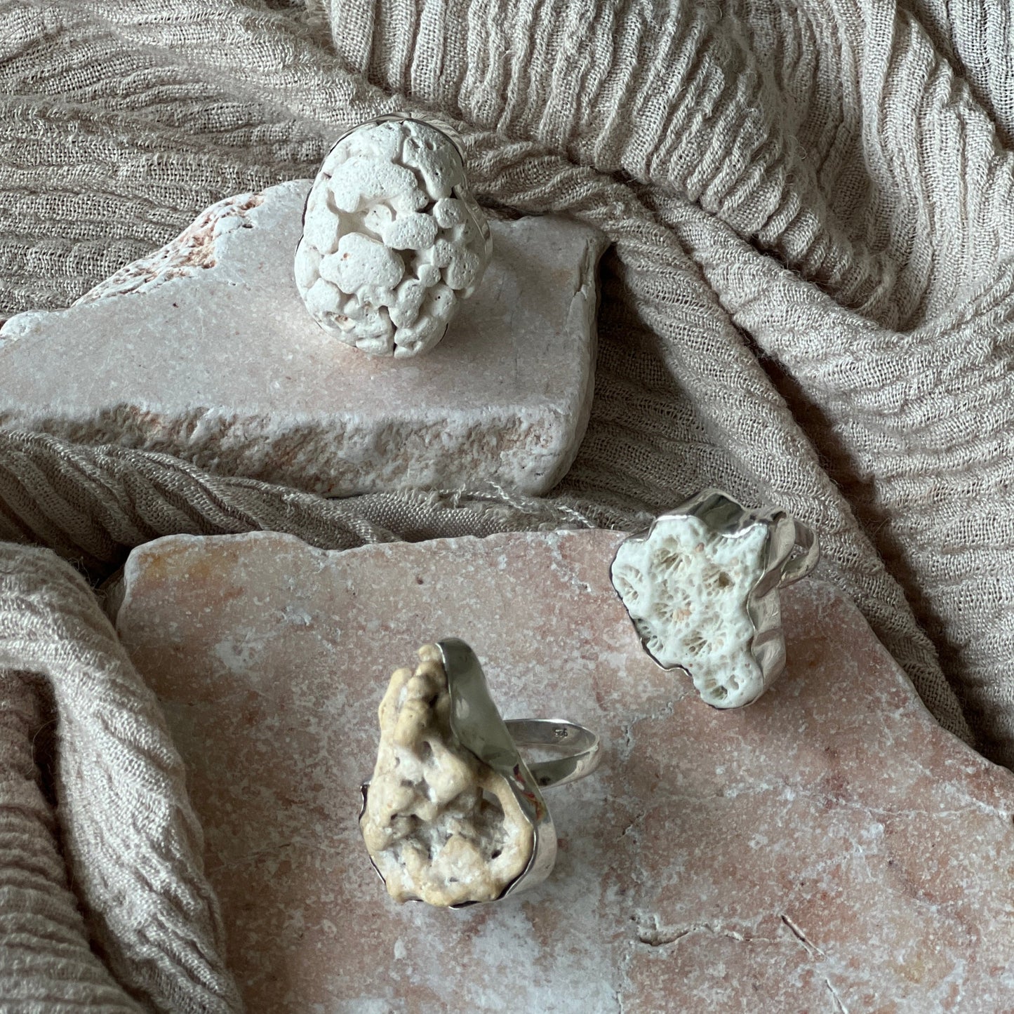 Corals Milkys
