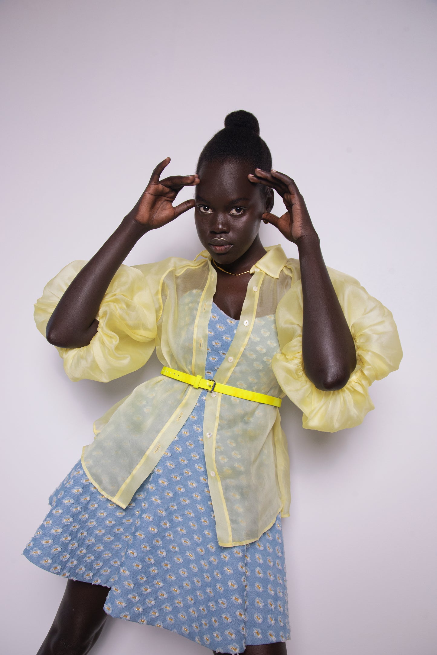 Organza puff sleeve blouse