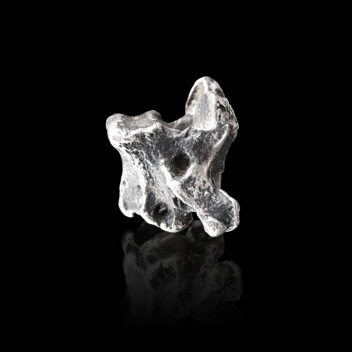 COBRA VERTEBRA pendant + chain