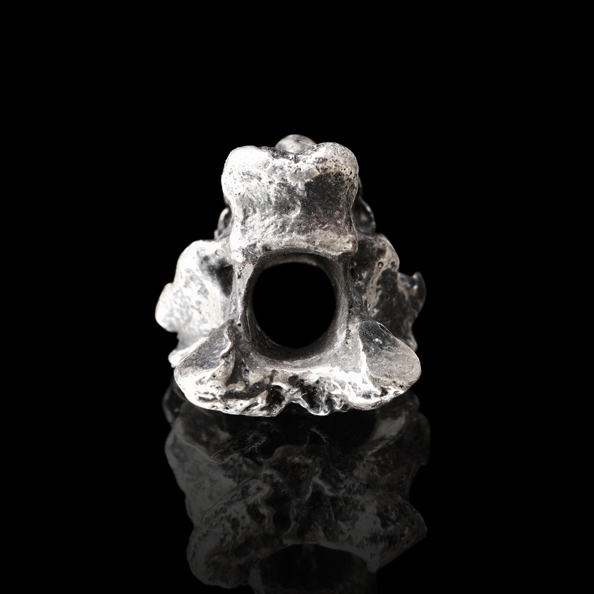 COBRA VERTEBRA pendant + chain