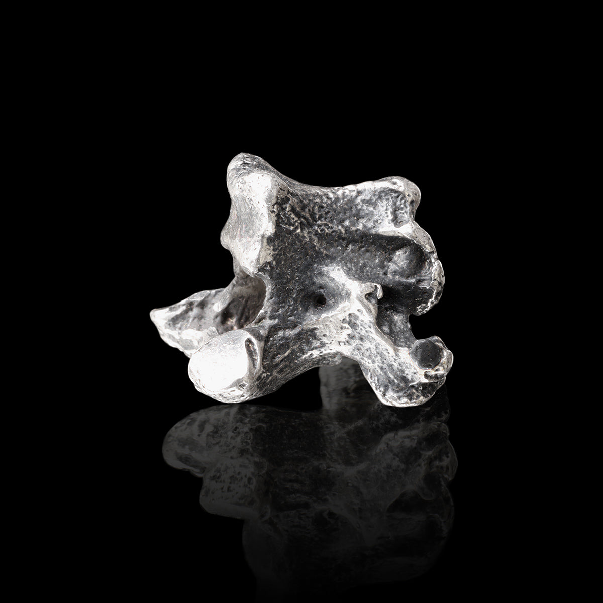 COBRA VERTEBRA pendant + chain