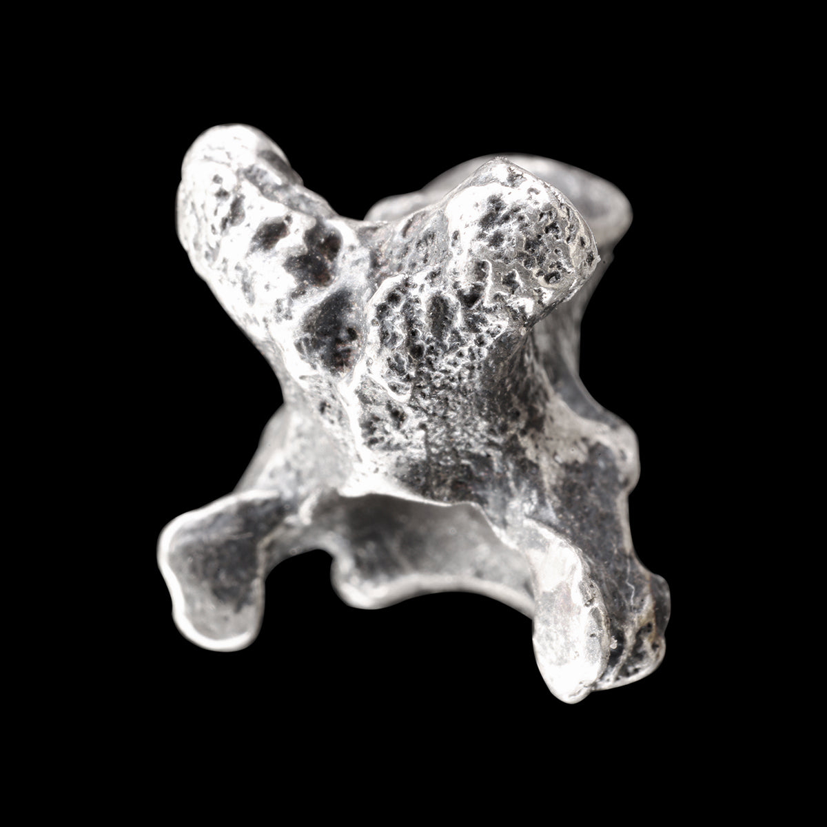 COBRA VERTEBRA pendant + chain