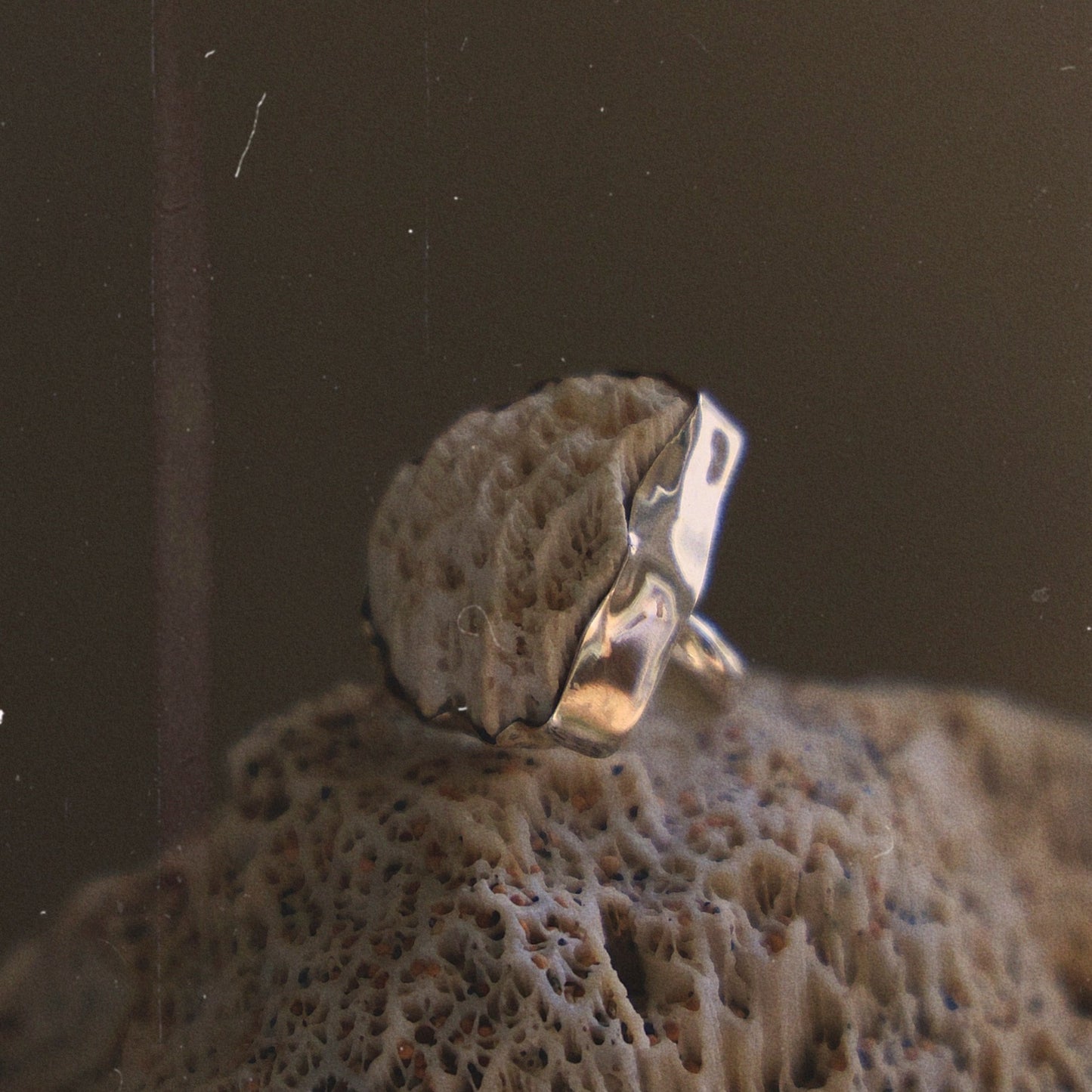 Corals Lump
