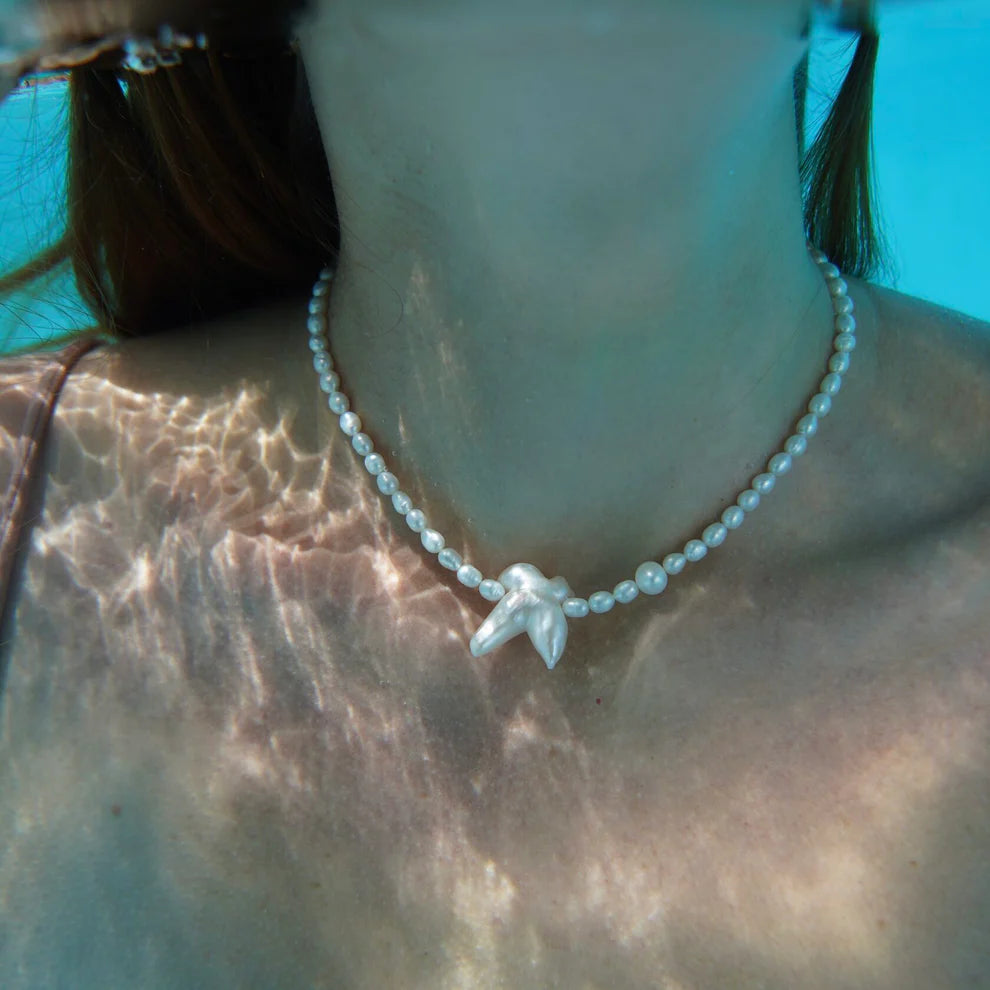 Bird Choker