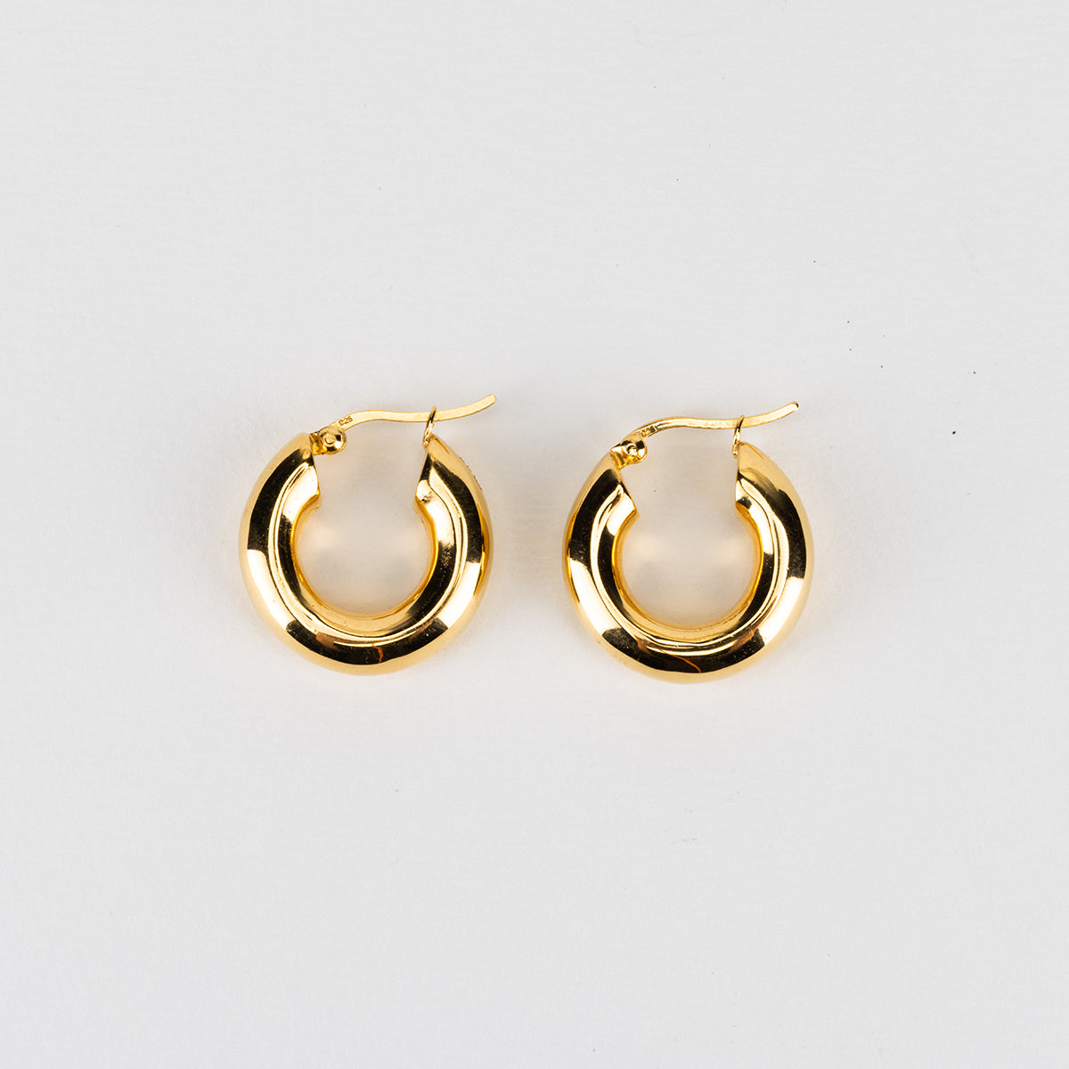 HOOP EARRING IN GOLD