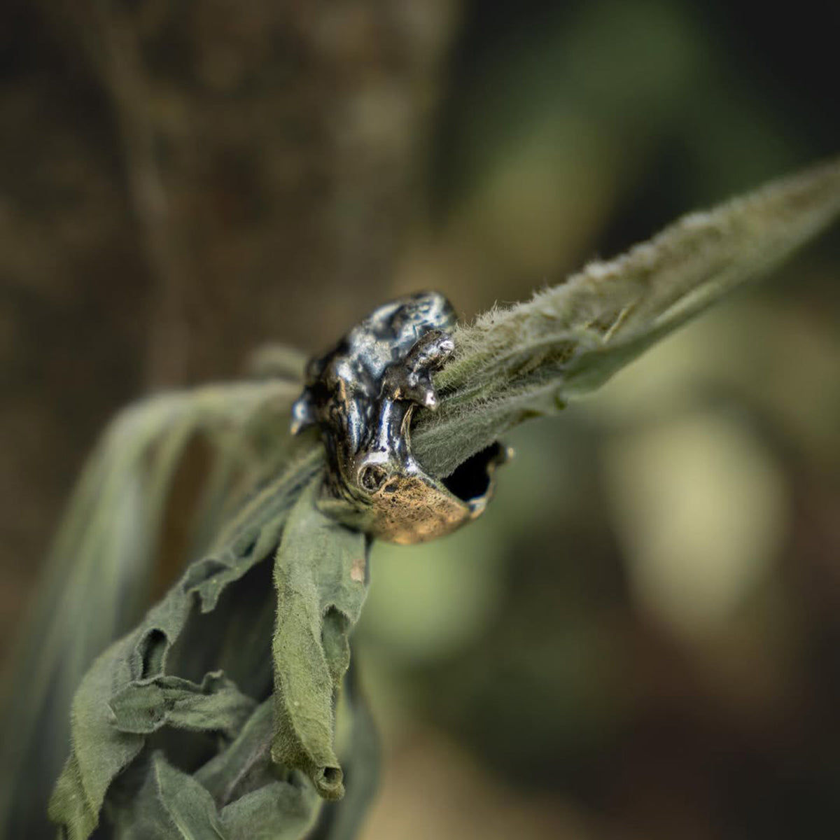 RING ALIEN