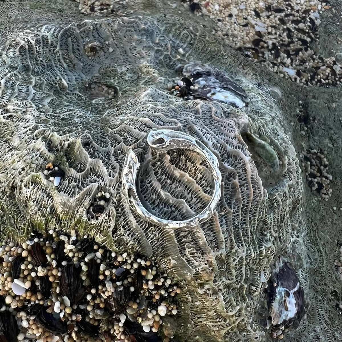 RING ROOTS