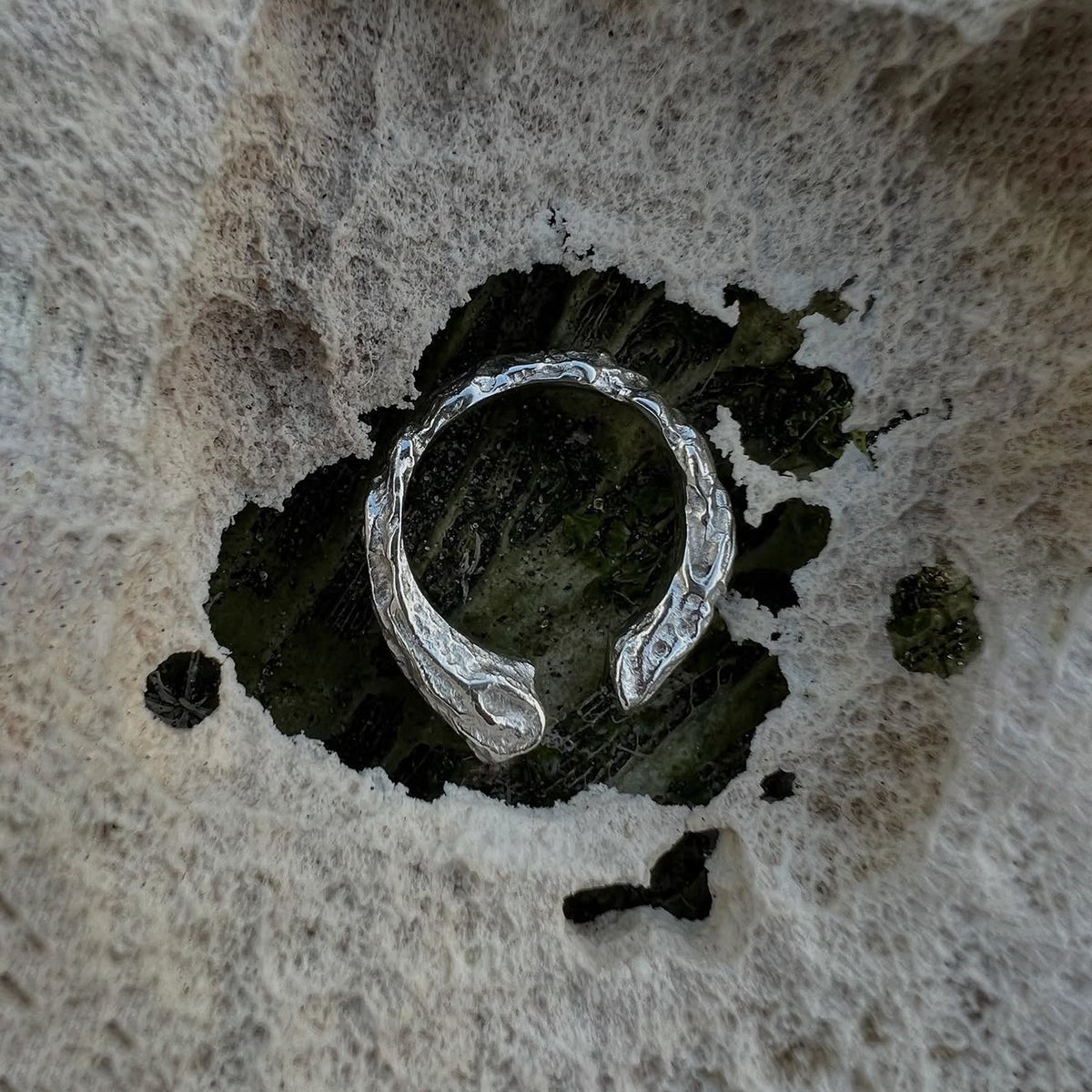 RING ROOTS