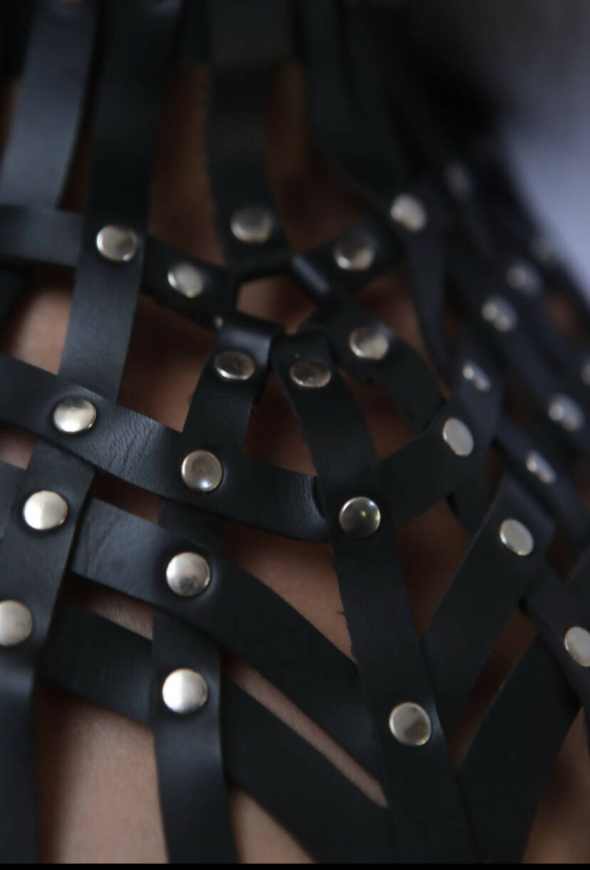 Harness “Black mood”