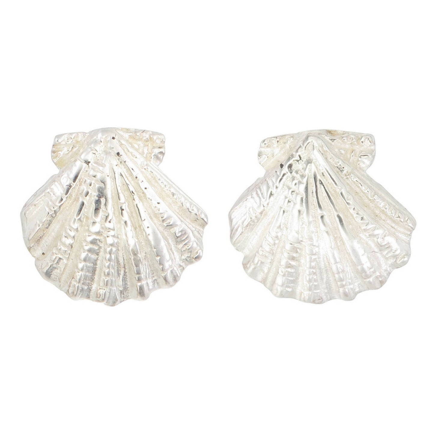 Lion shell earrings