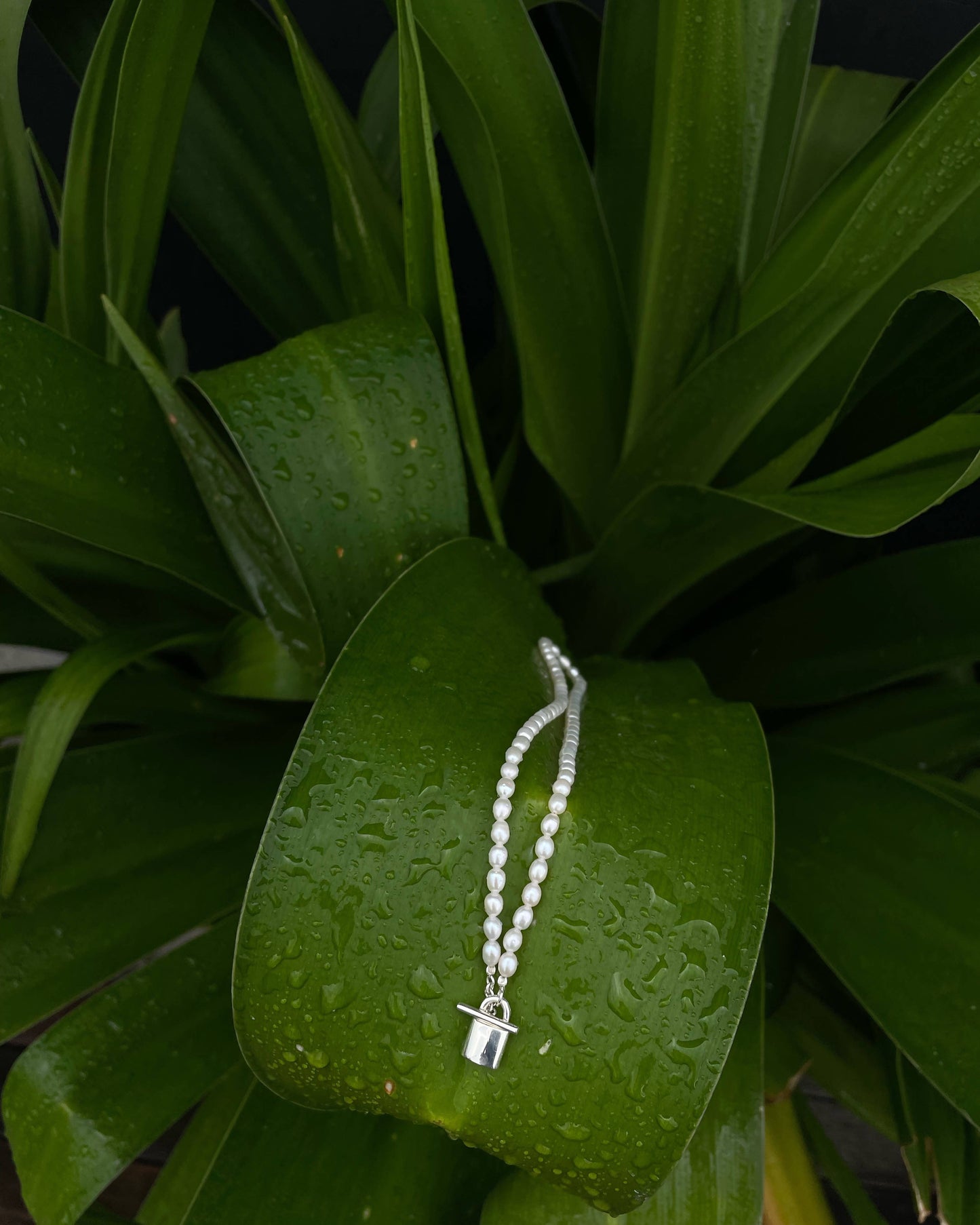 Choker with pearl and locker