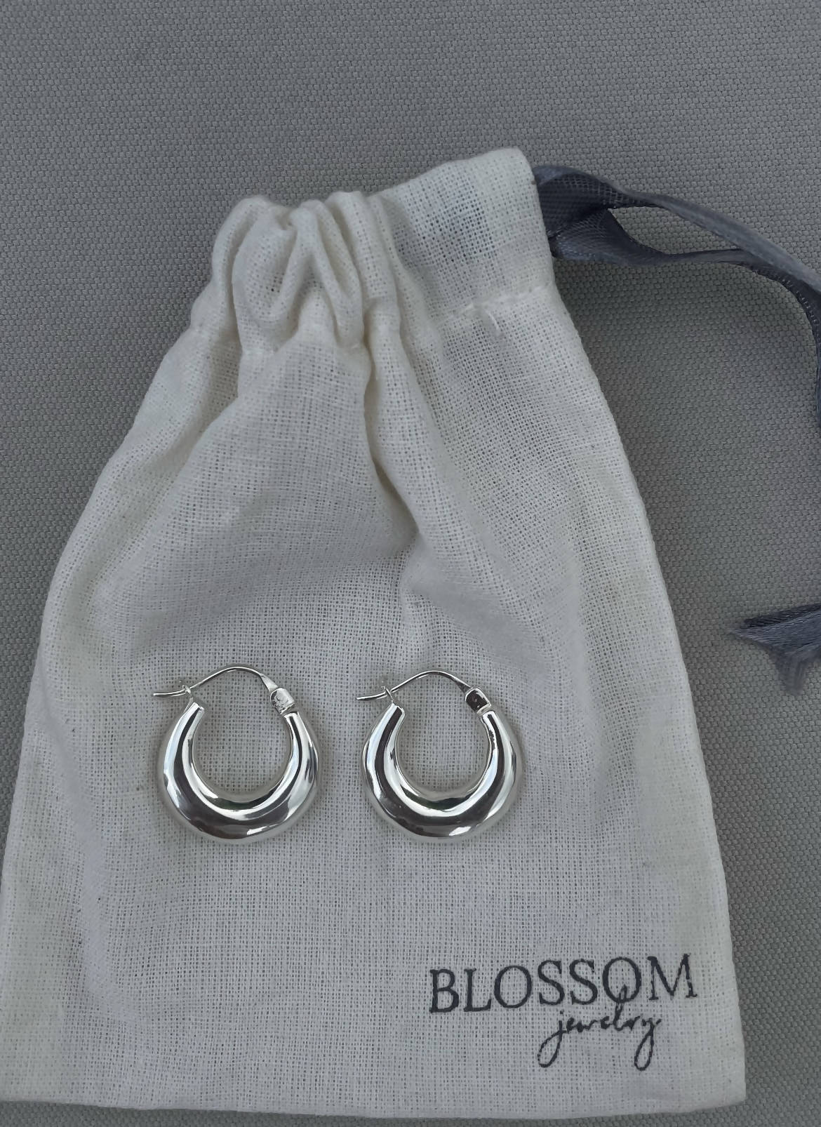 Earring hoops