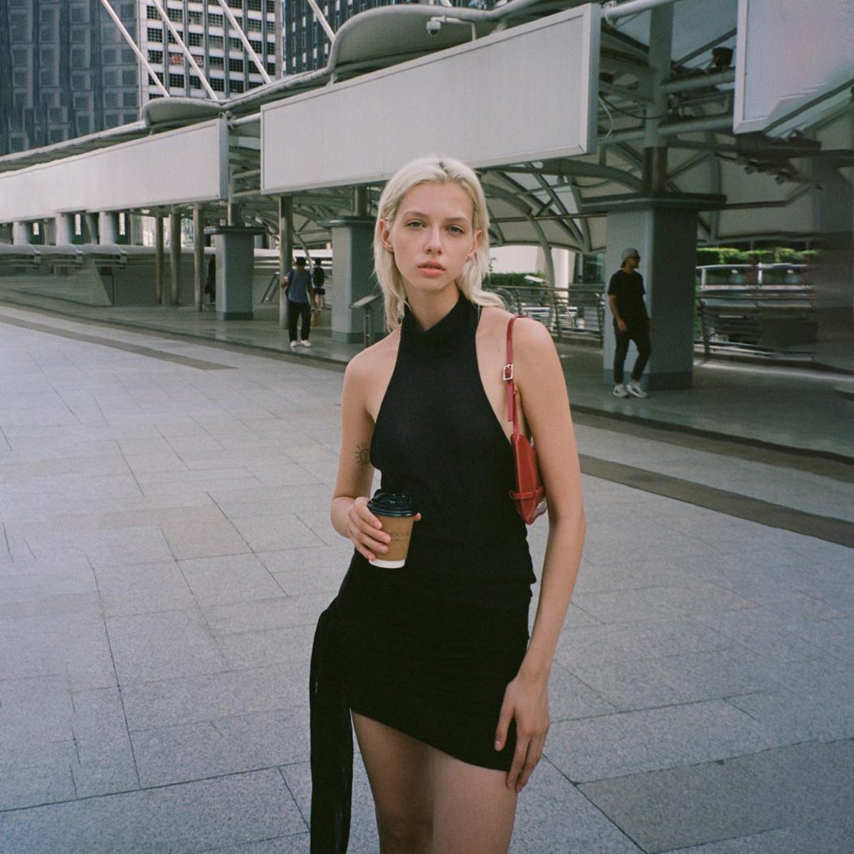 Chic and Contemporary Collection