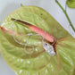 NECKLACE DENTED