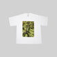 T-SHIRT PLANT PRINT WHITE