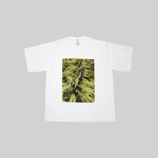 T-SHIRT PLANT PRINT WHITE