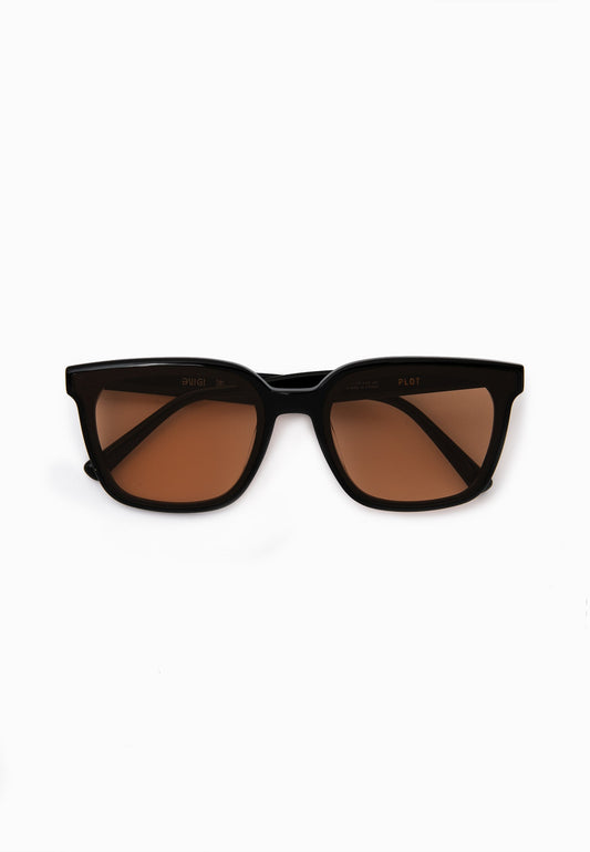 Black Caramel-Lens Sunglasses