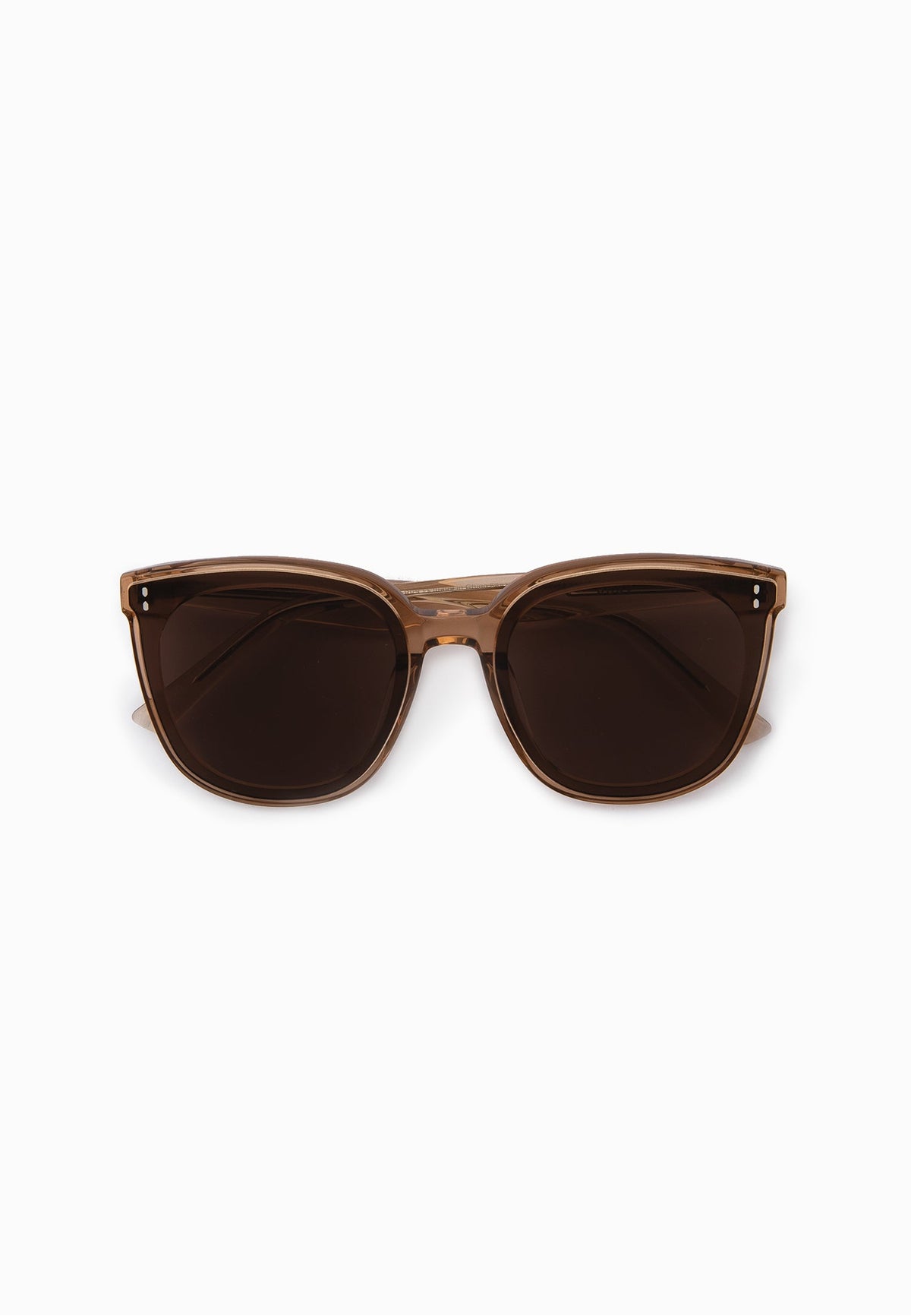 Champagne Rounded Square Sunglasses