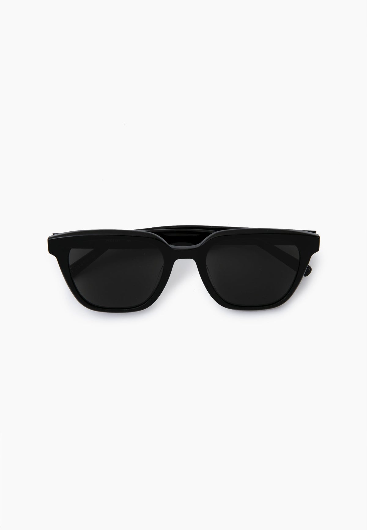 Classic Black Wayfarer Sunglasses