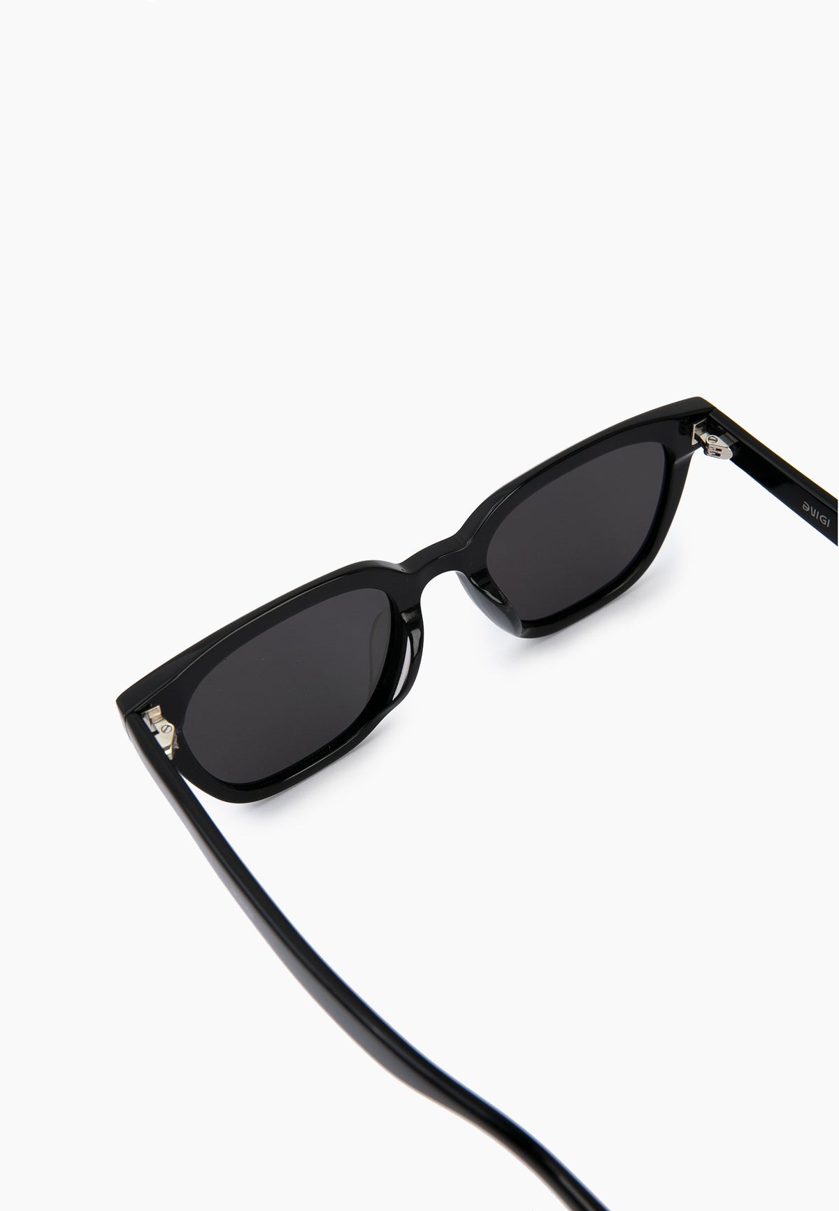 Classic Black Wayfarer Sunglasses