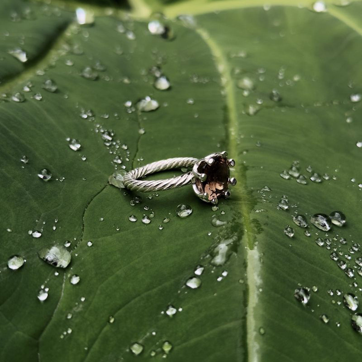 Velvet Vendetta Ring