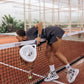 Set PADEL Graphite