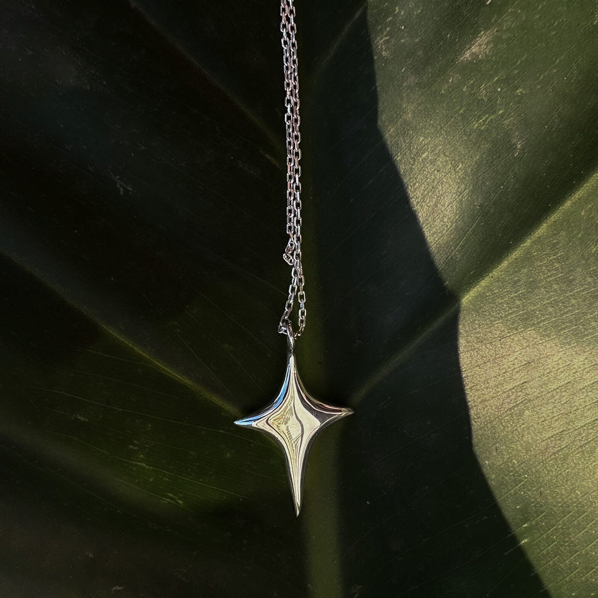 The Star Necklace