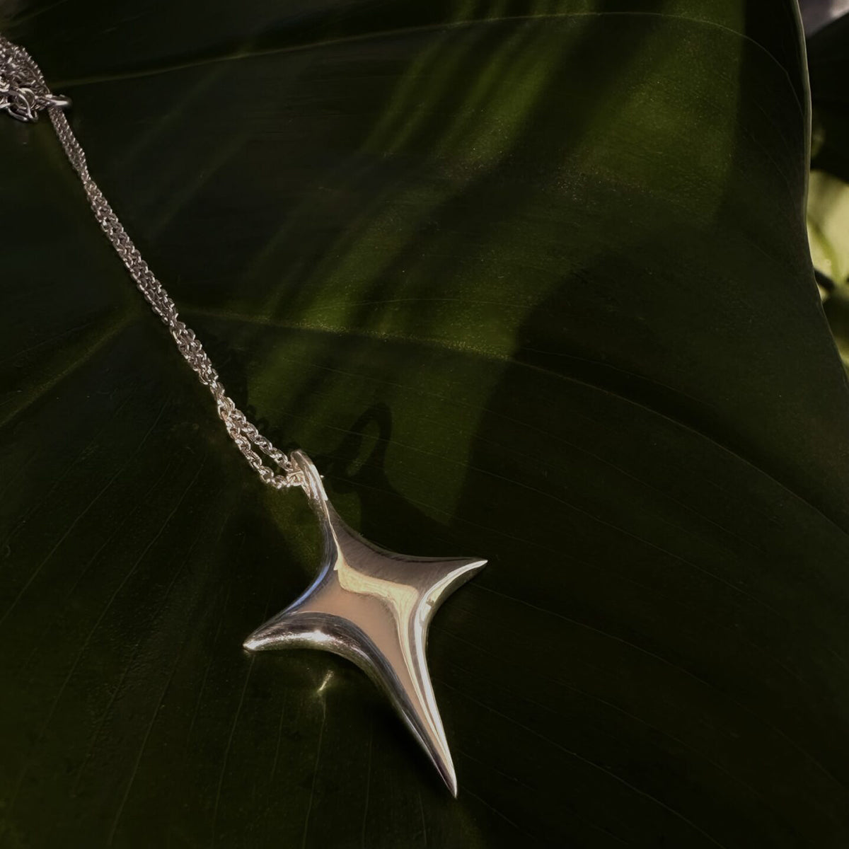 The Star Necklace