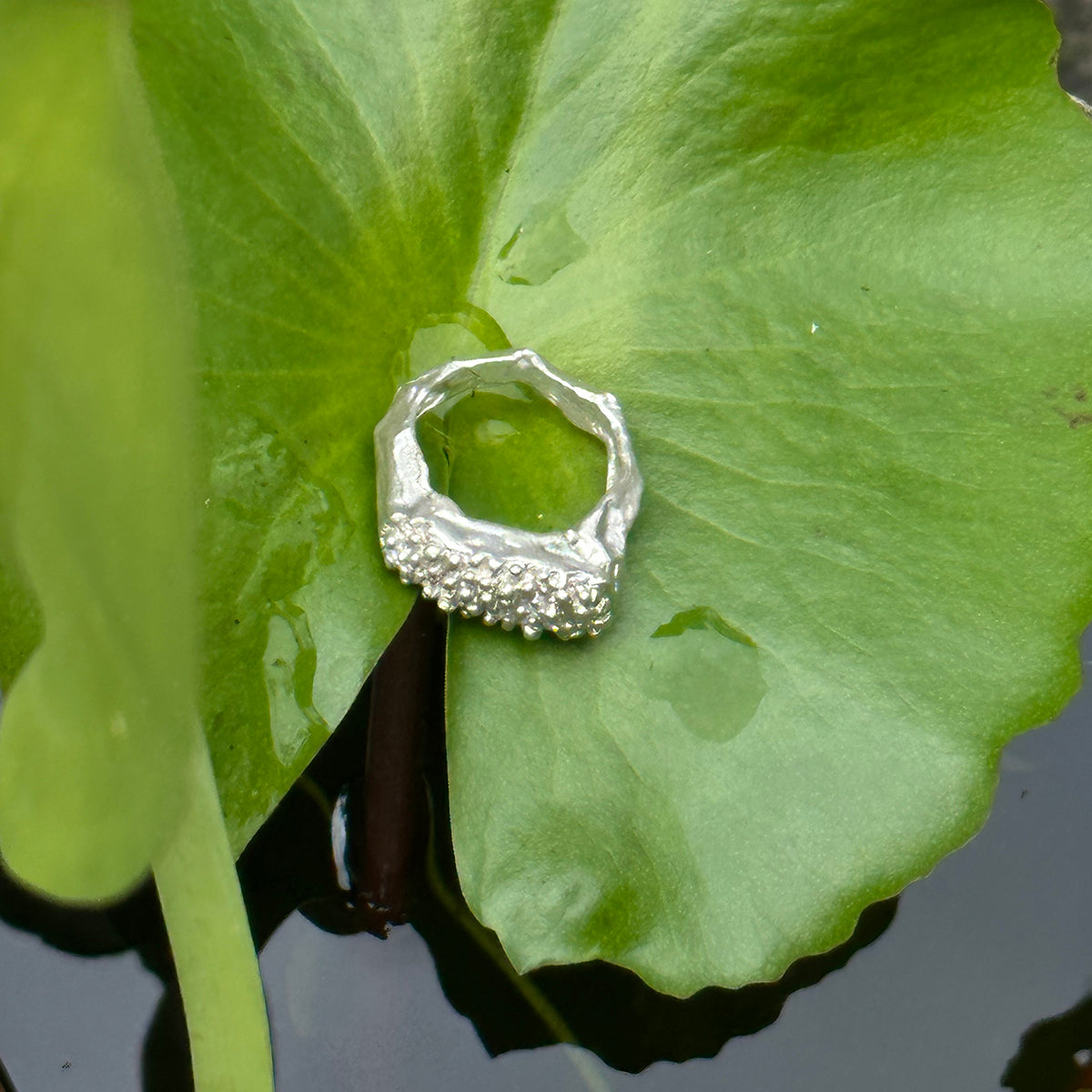 Dot Ring