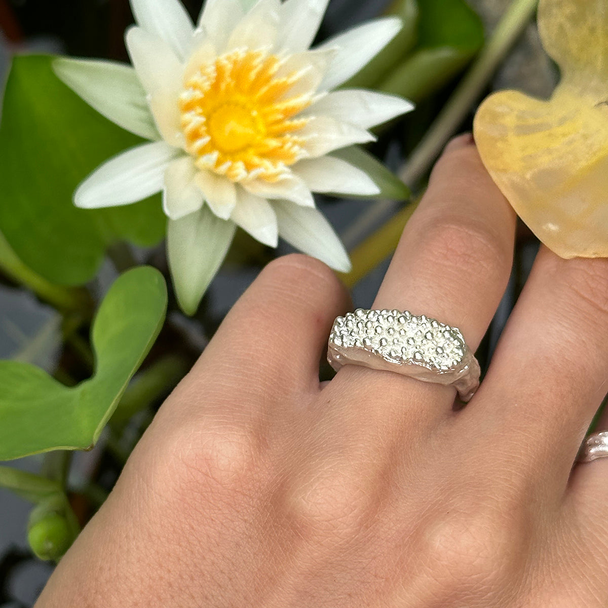Dot Ring