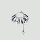 Ring Asteria