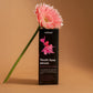Youth Face Serum