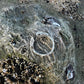 RING ROOTS