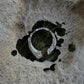 RING ROOTS