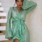 Sparkling Dress