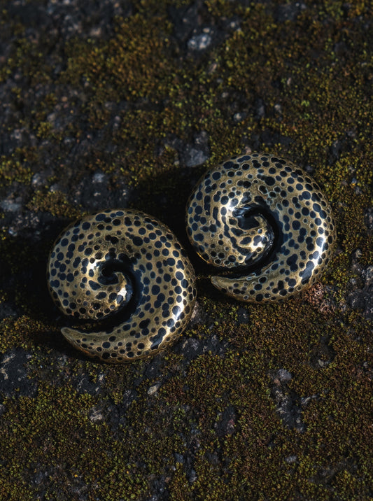 Spirals earrings